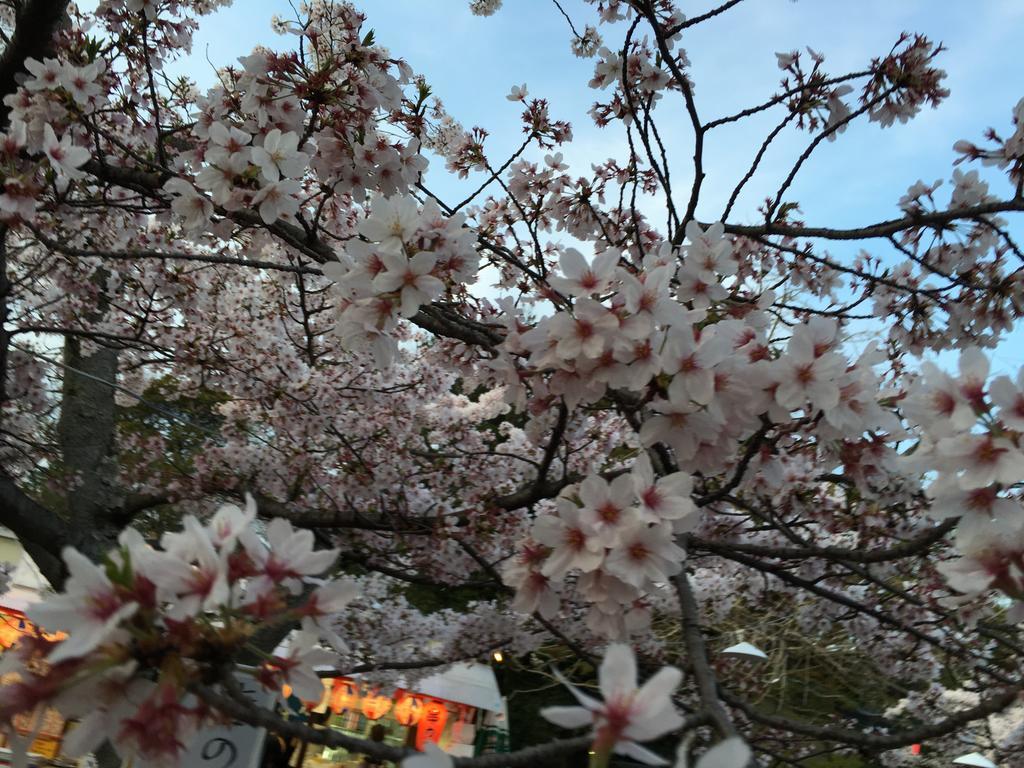 Ryokan Uemura Kyoto Eksteriør bilde