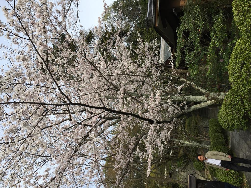 Ryokan Uemura Kyoto Eksteriør bilde
