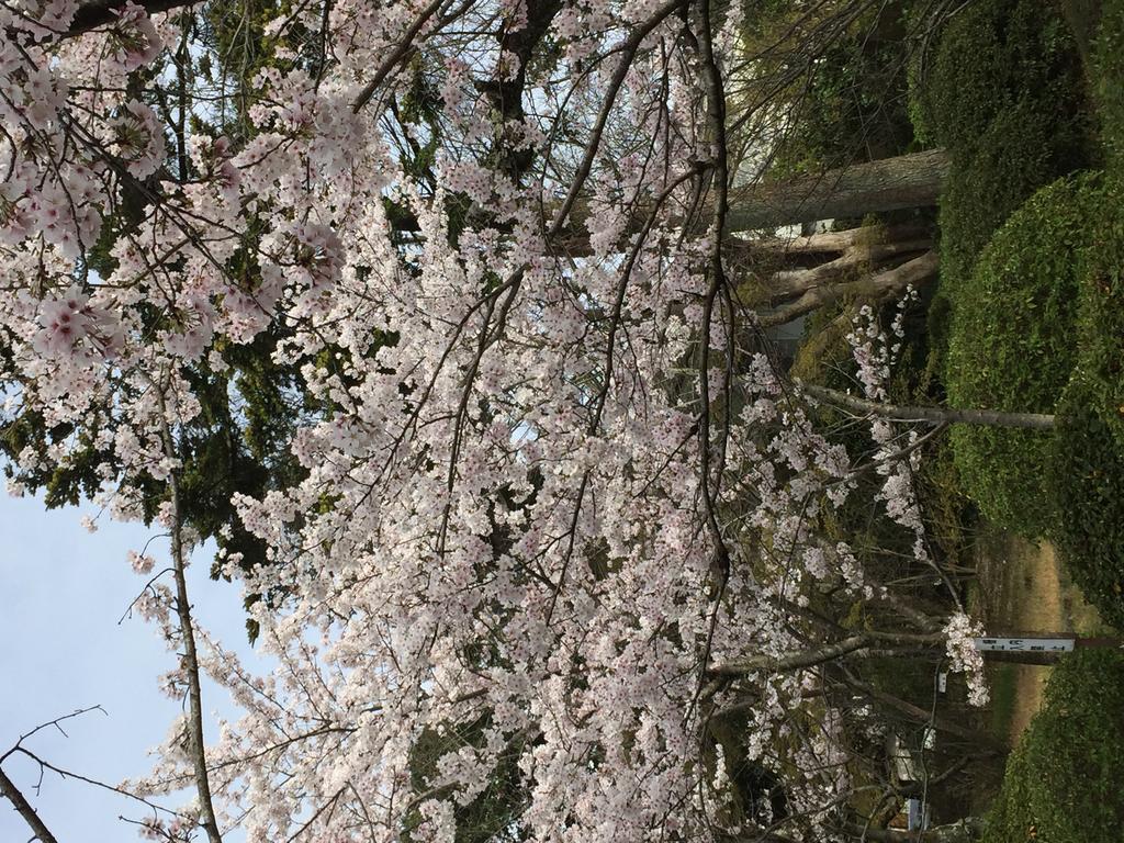 Ryokan Uemura Kyoto Eksteriør bilde