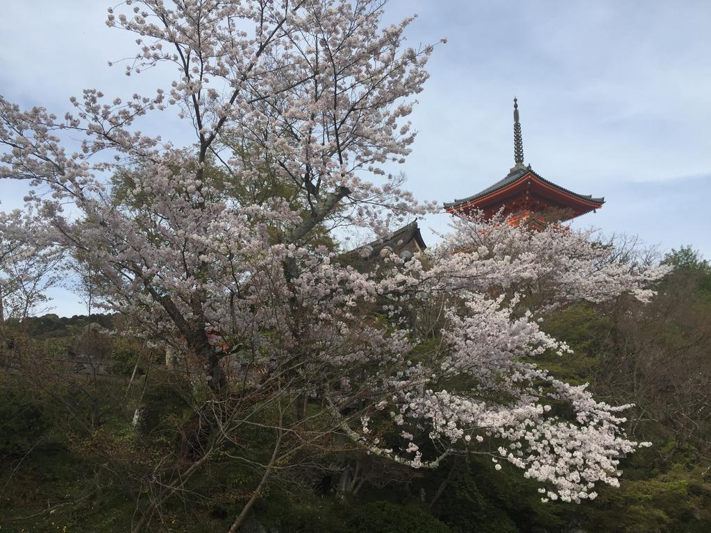 Ryokan Uemura Kyoto Eksteriør bilde